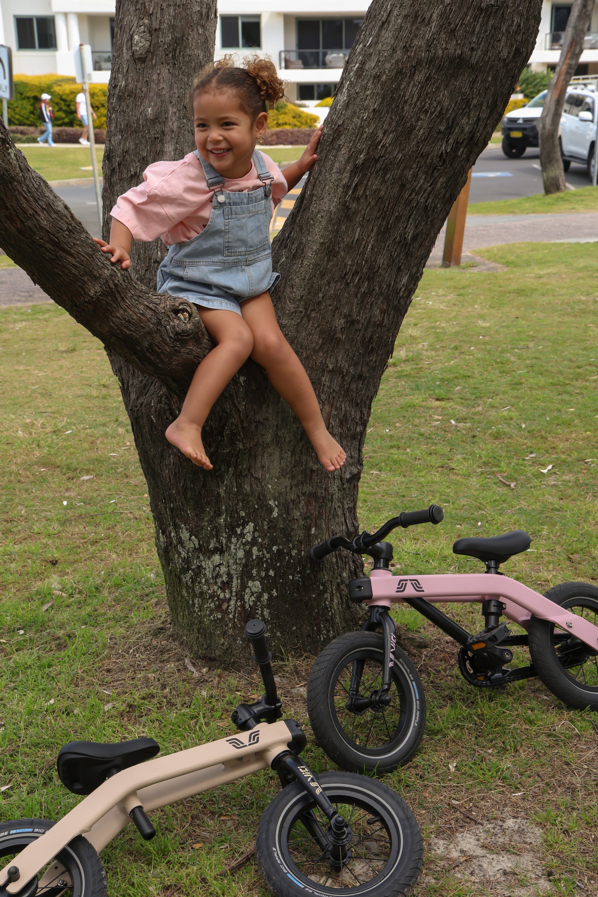 Blush Pink Kids Bike
